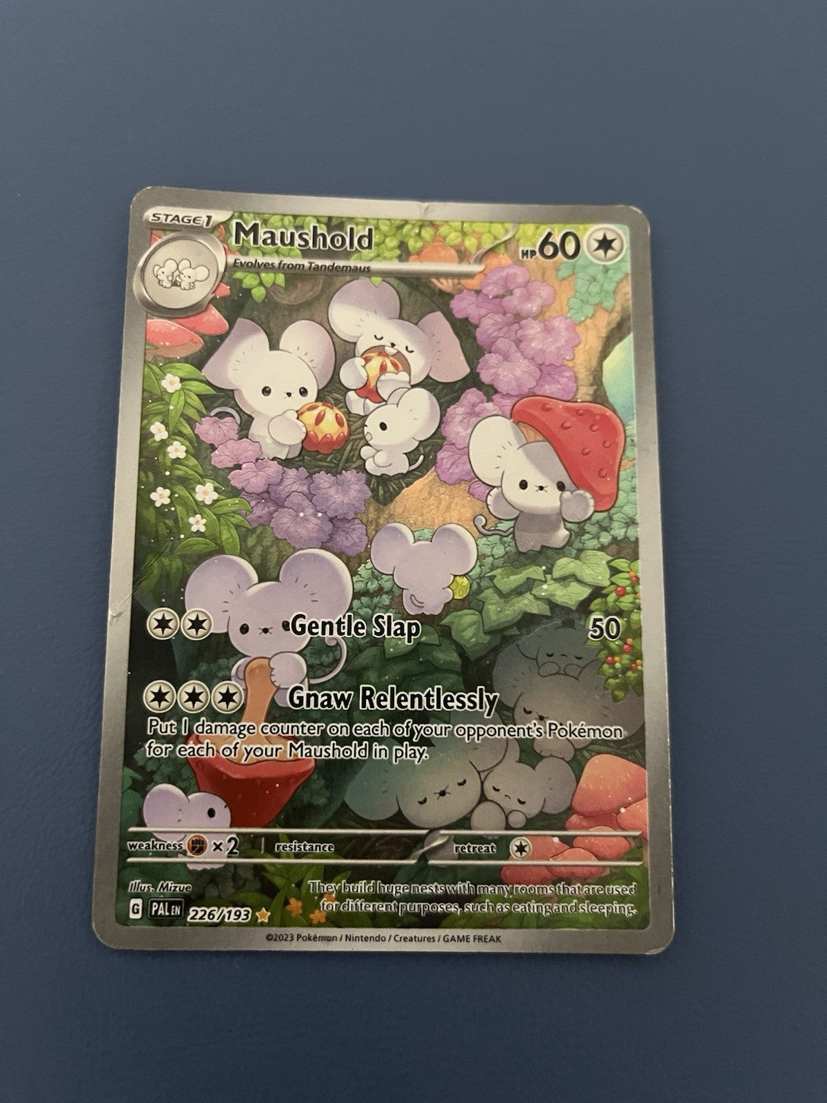 Pokemon Maushold 226/193 Sv02: Paldea Evolved Holo - Damaged