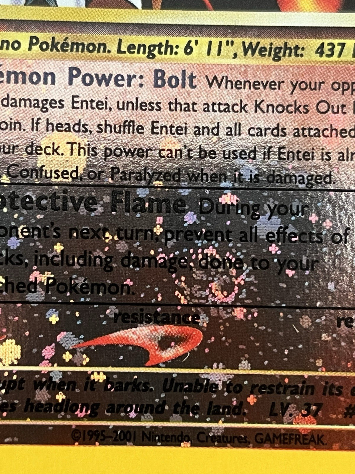 Pokémon TCG Entei Wizards Black Star Promos 34 Holo Promo - NM Swirl